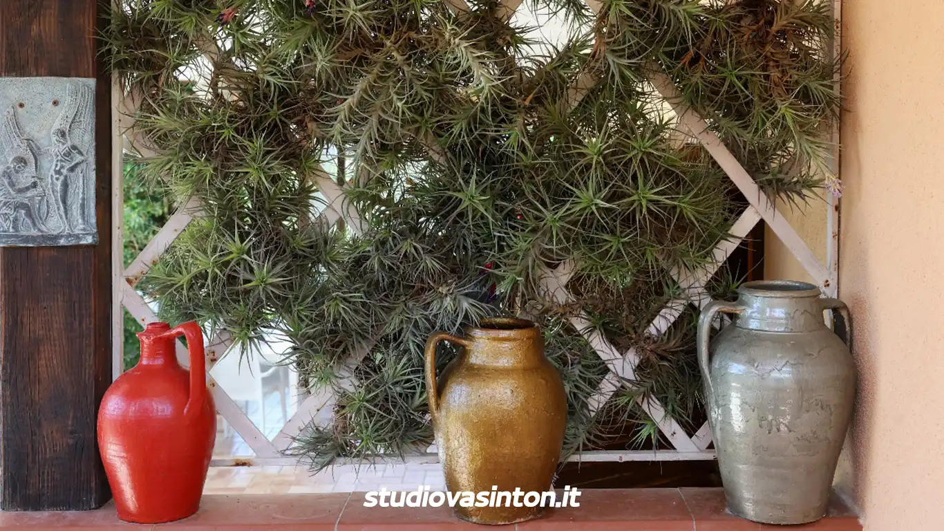 Scorcio Esterno della Struttura