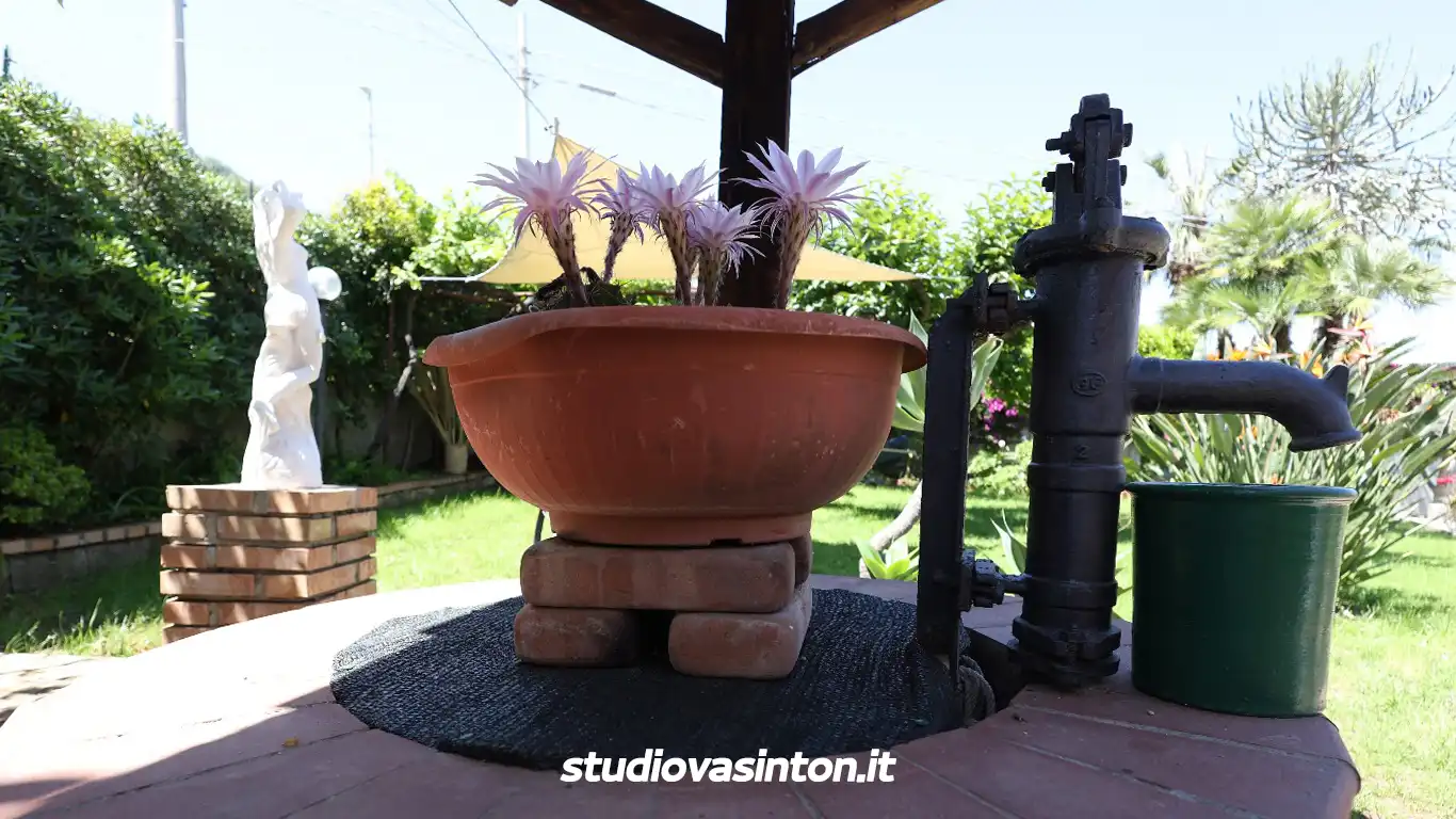 Scorcio Esterno della Struttura