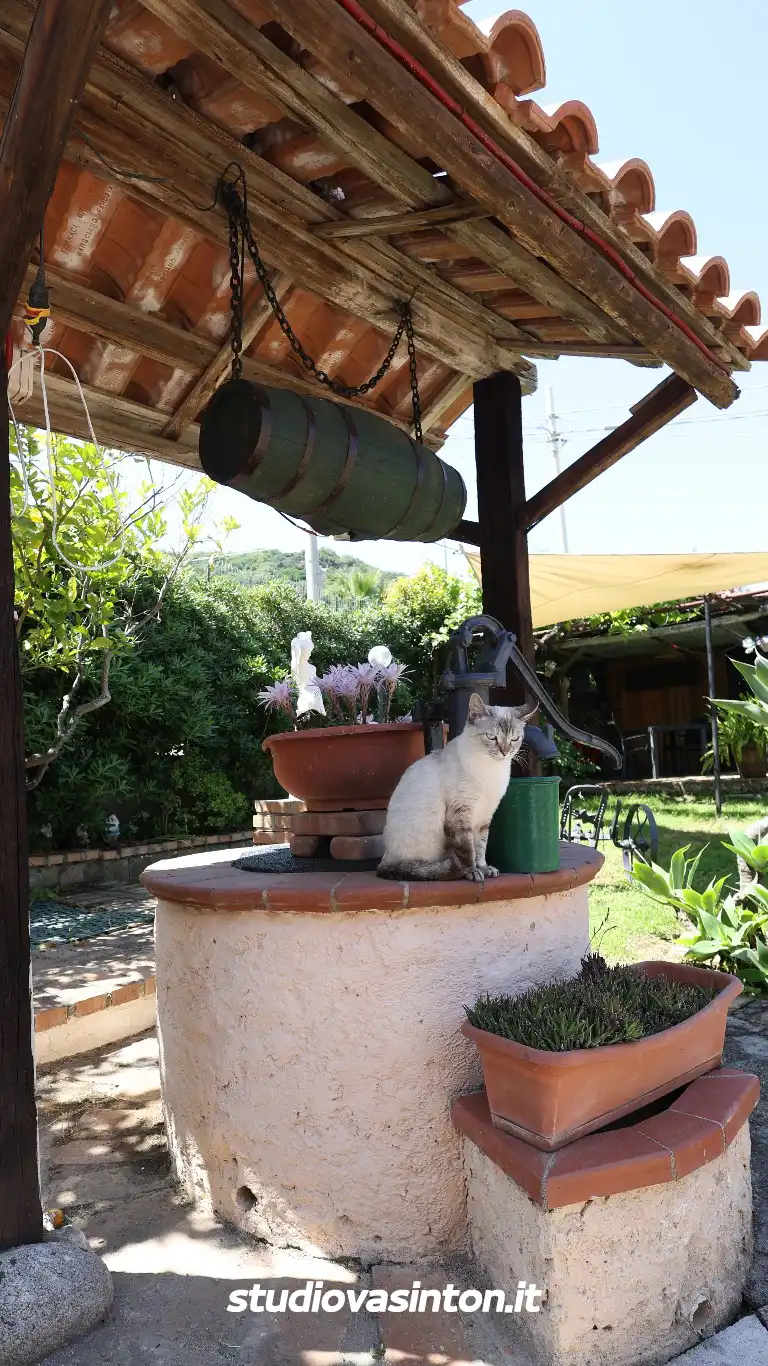 Scorcio Esterno della Struttura