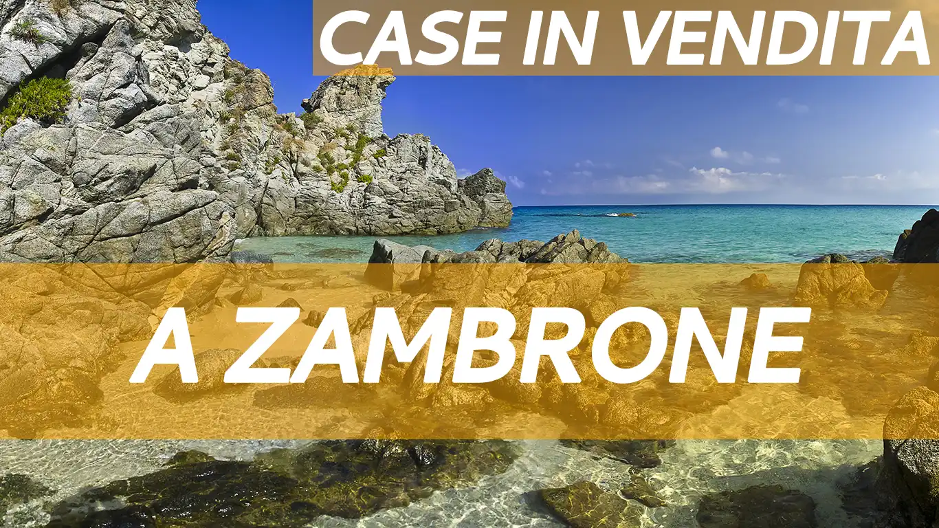 Studio Vasinton di Diego Vasinton: Vendita Case a Zambrone